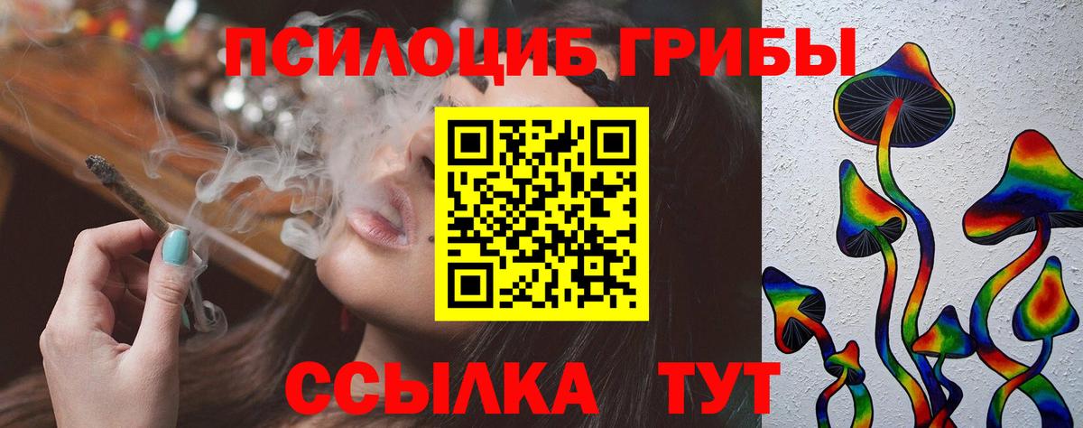 Псилоцибиновые грибы Psilocybe Тавда