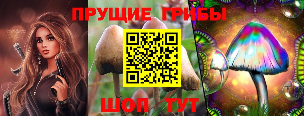 Галлюциногенные грибы Cubensis  Вход с VPN  Тавда  Галлюциногенные грибы мухоморы 