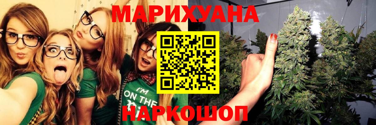 МАРИХУАНА план Тавда